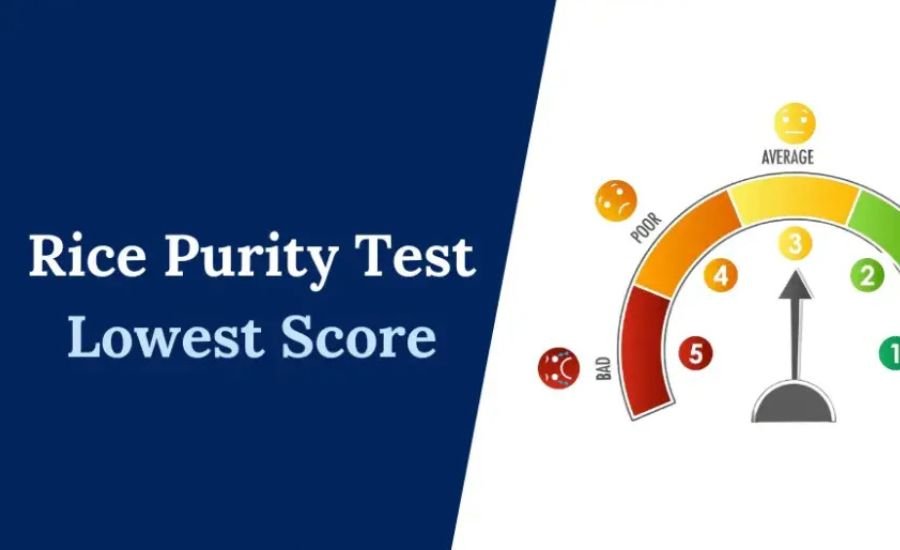 rice purity test score meaning